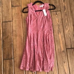 Francesca’s pink lace dress